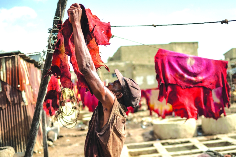 A tanner puts a dyed skin to dry on a rope at the Majema traditional tannery in Kofar Wambai neighbourhood in Kano, on September 11, 2025. The historic leather hub, Kano, feeds luxury giants like Louis Vuitton, Gucci, and Ralph Lauren, with Nigeria exporting nearly 90% of its hides abroad. But because the finishing work is done in Europe, the “Made in Nigeria” label vanishes, replaced by “Made in Italy” or “Made in Spain.” Now, some Nigerian designers are trying to reclaim the country’s leather identity by building homegrown brands.