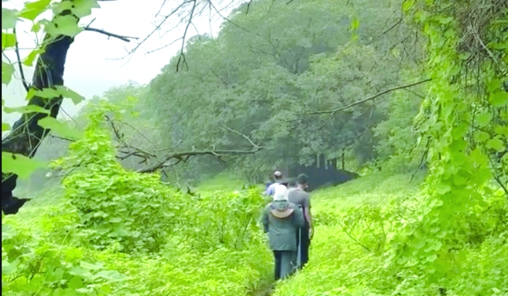 Adventure group pushes for wilderness medicine with Dhofar as staging ground