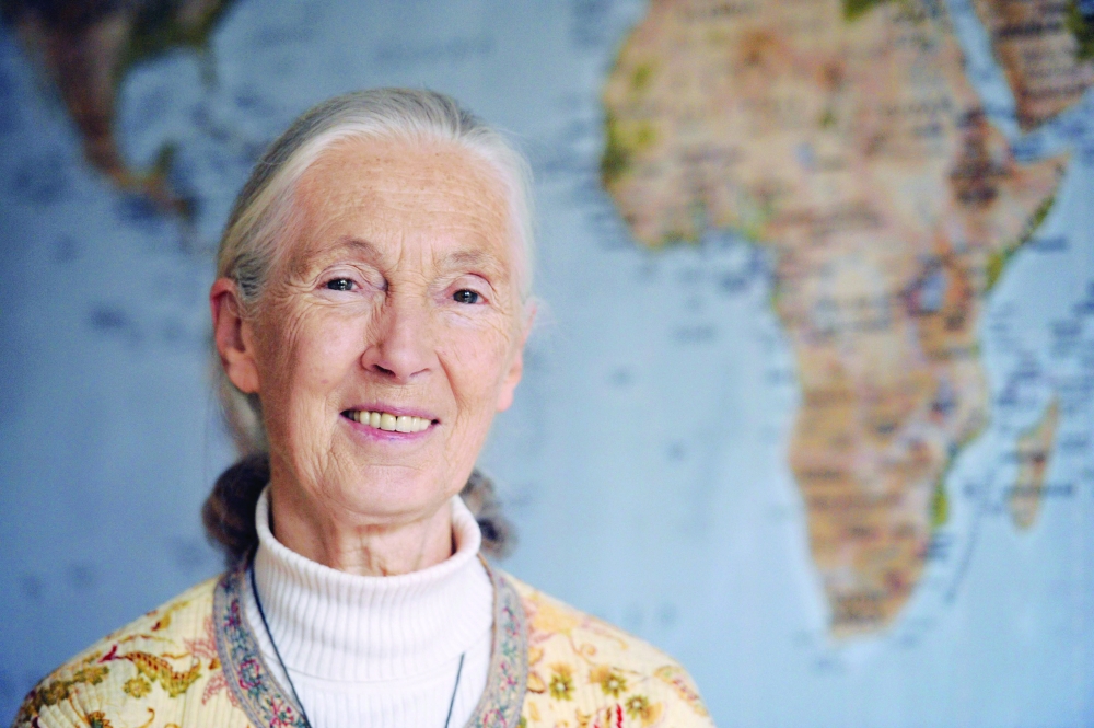 British primatologist and conservationist Jane Goodall poses in Paris, during a visit as part of the International Year of Biodiversity. - AFP
