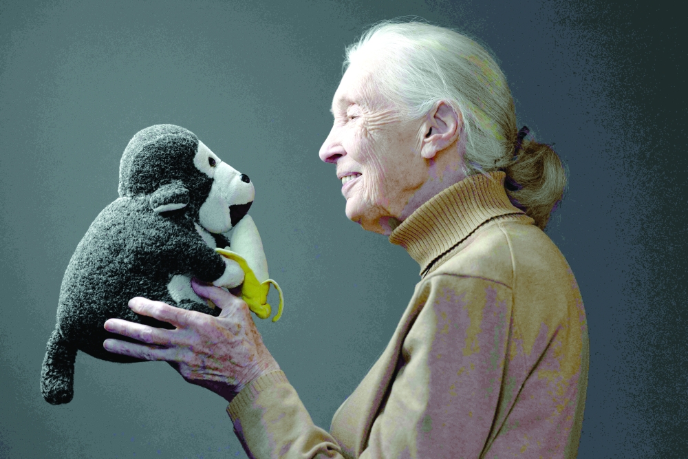 British ethologist and primatologist Jane Goodall poses with her mascott 'Mister H' during a photo session in Paris. - AFP