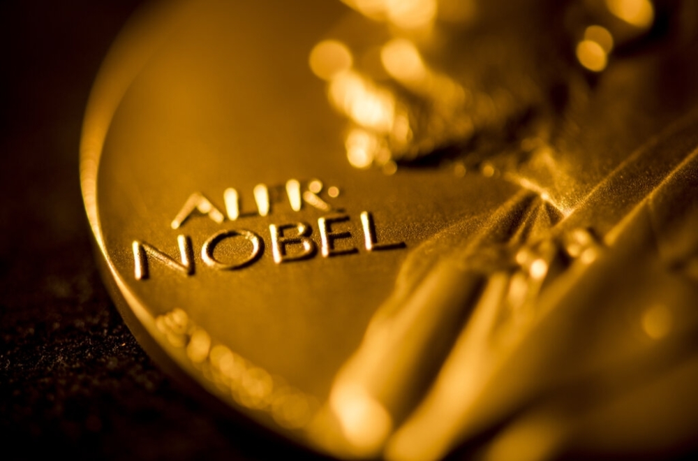 All you want to know about 2025 Nobel prizes