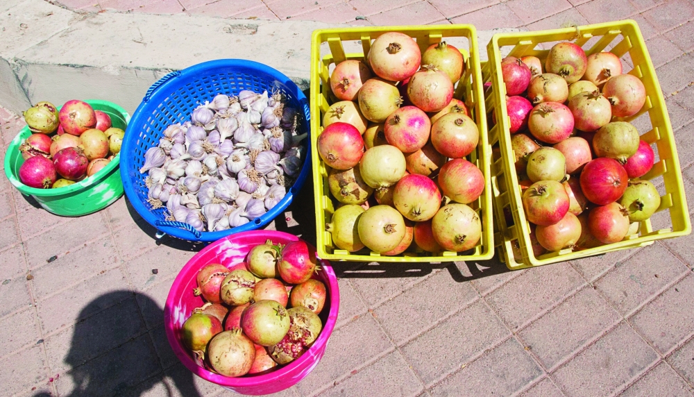 Al Jabal Al Akhdhar is home to around 27,000 pomegranate trees thriving across the mountain terraces