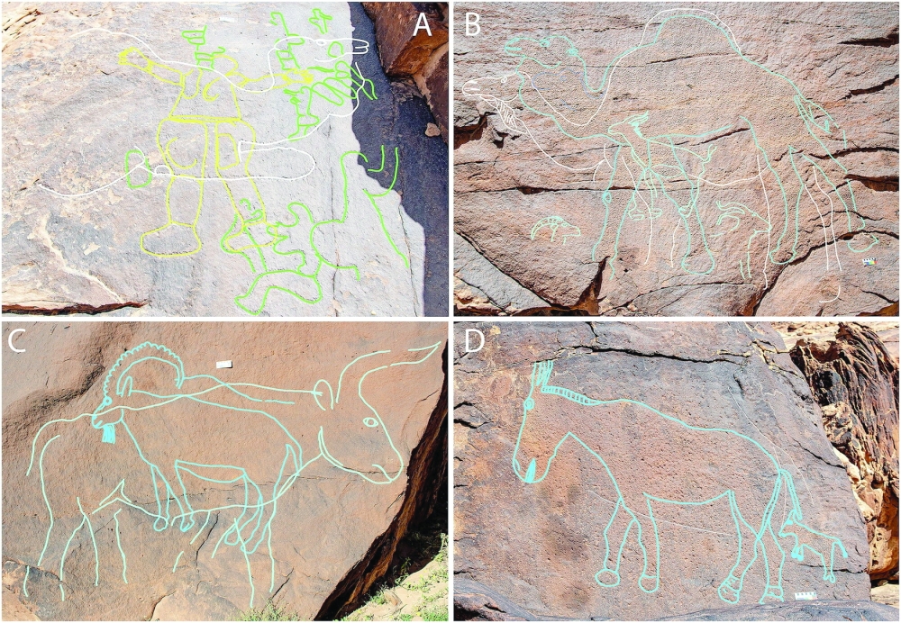 A combination of four photographs shows rock art panels with engravings of animals on sandstone at a location called Jebel Arnaan in an area south of the Nefud desert of northern Saudi Arabia, in this handout picture released on September 30, 2025. Tracings in green, yellow, white and blue are added to highlight the animal images and the layers of the engravings.  Guagnin et al., Nature Communications (2025)/Handout via REUTERS    THIS IMAGE HAS BEEN SUPPLIED BY A THIRD PARTY. NO RESALES. NO ARCHIVES. OUTLINE ADDED DIGITALLY FROM SOURCE.