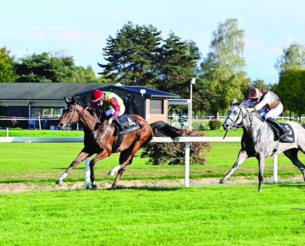 Sawarem clinched first place under jockey Michael Forest and trainer Fredric Sanchez.