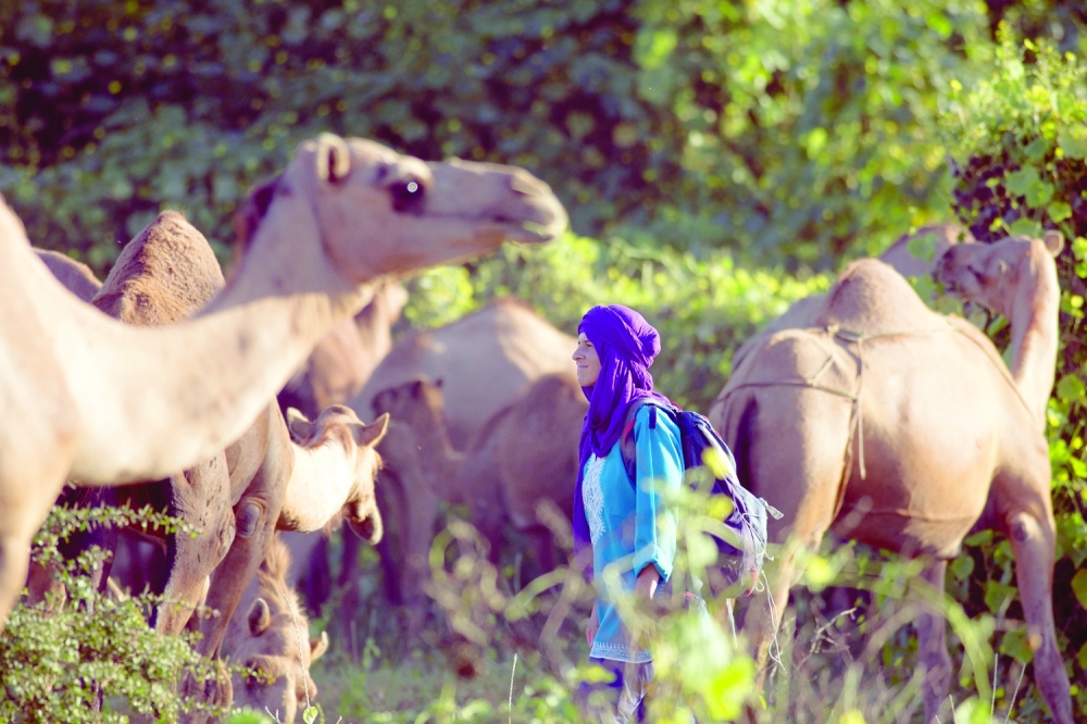Nora Schwewitzer with the camels in Dhofar