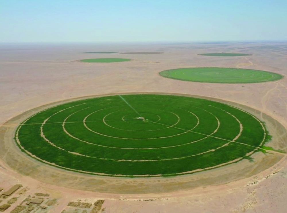 t is envisioned as a centralised hub for the aggregation and handling of produce from the Najd Agricultural Zone, the largest farming zone in the country.