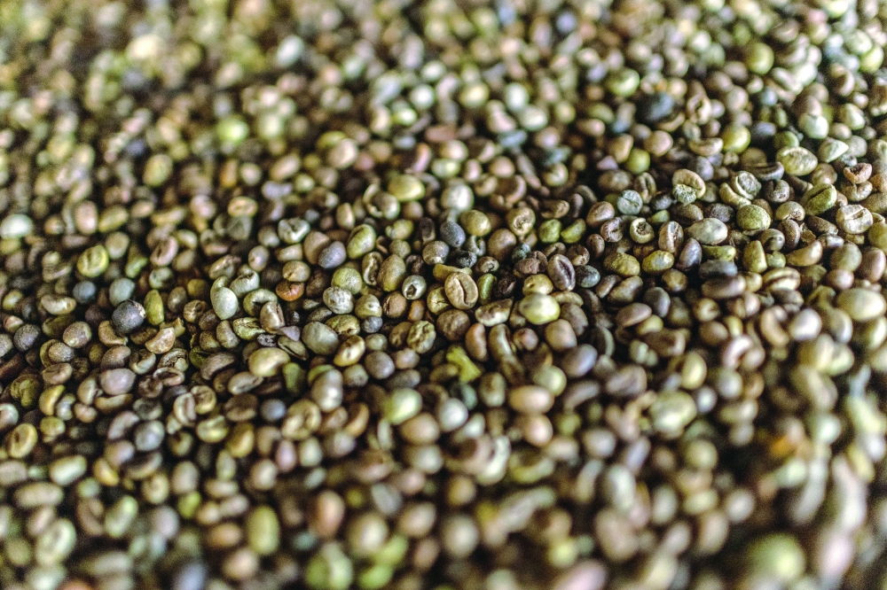Coffee beans in bags in Vila Valerio, northern Espírito Santo, Brazil. — NYT 