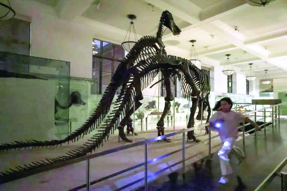 Children participate in a flashlight tour in the fossils exhibit during 'A Night at the Museum' at the American Museum of Natural History in New York City. - AFP

 