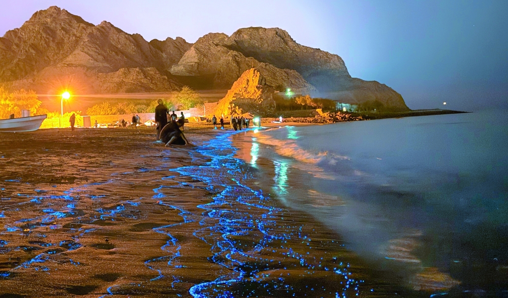 Where the sea glows blue: Nights of wonder along Oman’s coast