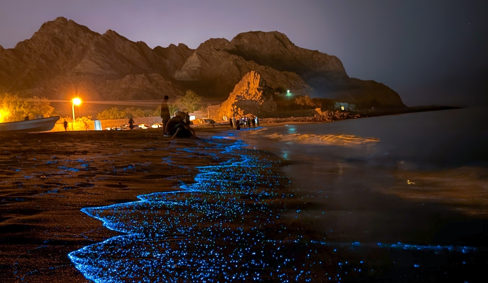 Where the sea glows blue: Nights of wonder along Oman’s coast