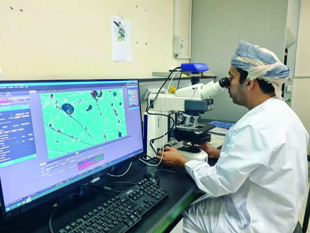 The ranking enhances Oman’s visibility on the international academic stage