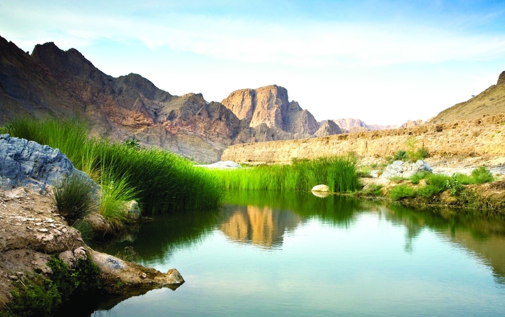 EA adopts policies to keep pace with Oman’s Net-Zero targets