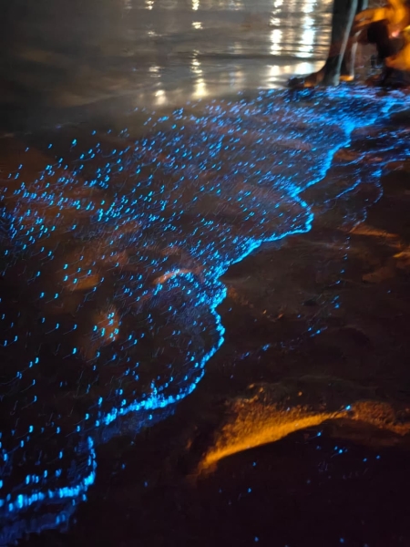 Einwohner von Maskat strömen herbei, um Biolumineszenz zu beobachten