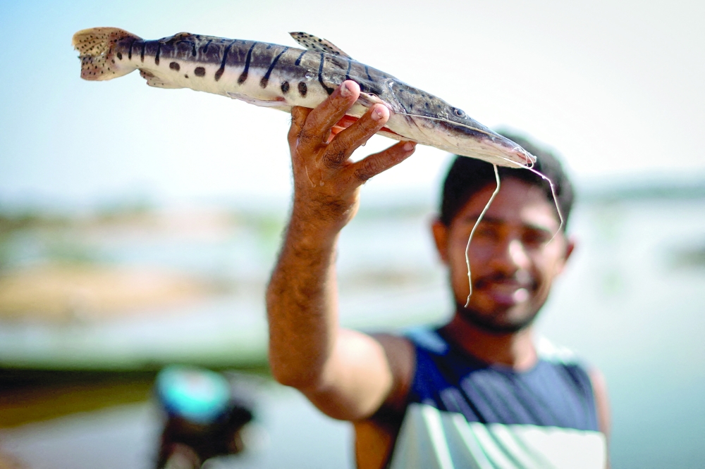 Fisherman Welton de Franca shows a fish he caught in the Ilha da praia Alta community, near Pedral do Lourenco, a natural rocky formation on the Tocantins River that may be blown up to build the Araguaia-Tocantins riverway, in Nova Ipixuna, Para State, Brazil. — Reuters