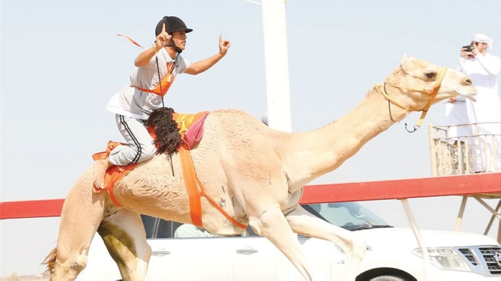 The winner in the second round of the traditional race, human rider.