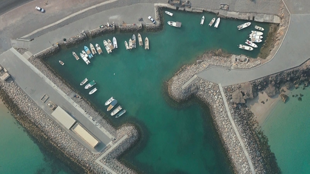 Private sector to strengthen Musandam’s role as a regional hub for high-quality fish trade