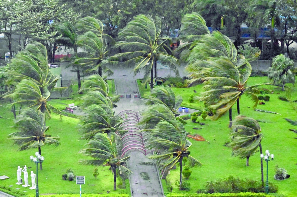 Palm trees sway as strong winds arrive ahead of the landfall of Typhoon Kalmaegi near Quy Nhon beach in Gia Lai province in central Vietnam. - AFP