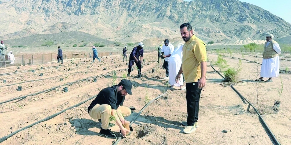 EA volunteers took part in the planting.