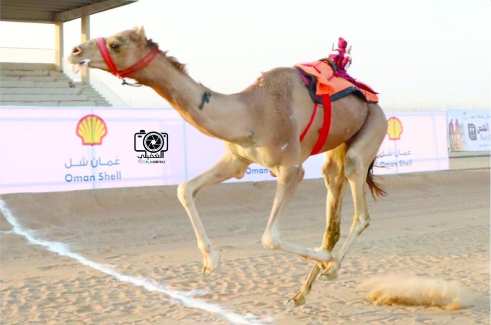 The race, supported by Shell Oman, was held in Ibri on October 23.