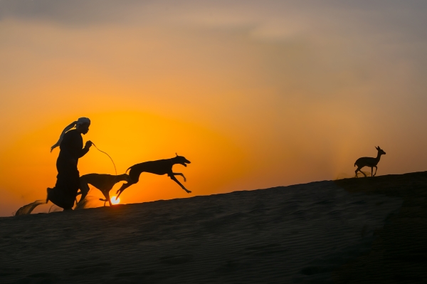 Oman wins two World Cups at 42nd FIAP Youth Photography Biennial