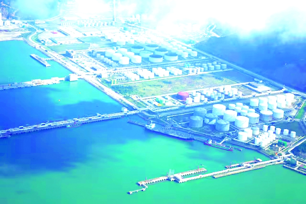 Prices fell sharply on Wednesday after the Organization of the Petroleum Exporting Countries (OPEC) said global oil supplies are expected to slightly exceed demand in 2026 — Reuters