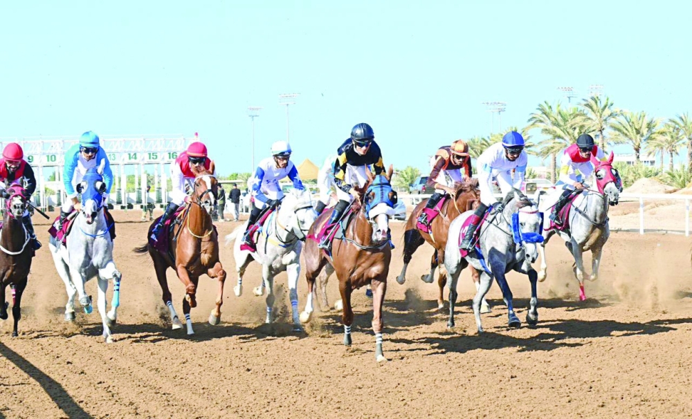The eighth and final round, the main race of the day, will stretch to 1,800 metres with a RO 10,000 prize for the winner.