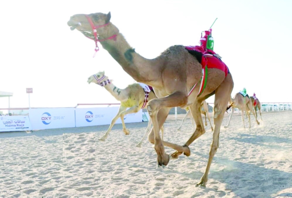 Round 3 was won by Al Shahiniyah, owned by Hatheth bin Manqash al Harsousi.