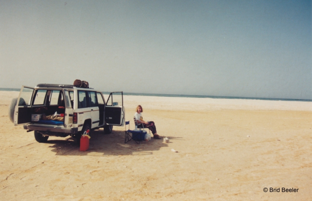 Brid seen after the ghost crab fright on the beach of Ash Shuwaymiyah