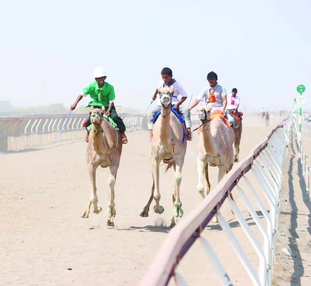 Competitions will continue on November 18, featuring 15 rounds for the Lagaya category, three years old, over 5 km.