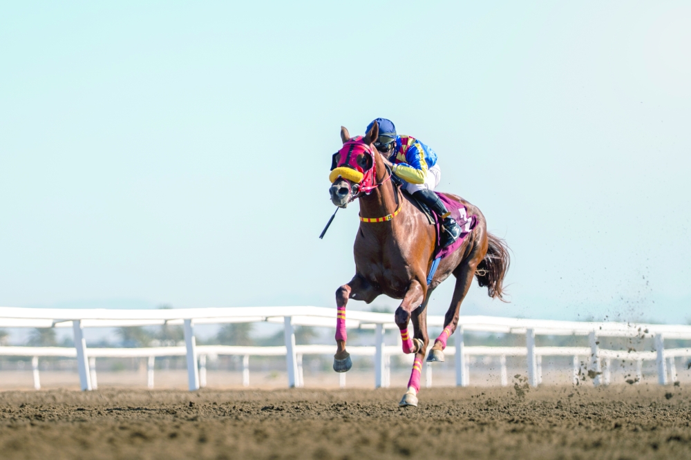 The event featured eight competitive races, each offering a distinct level of challenge and showcasing the quality and readiness of local and Arab horses.