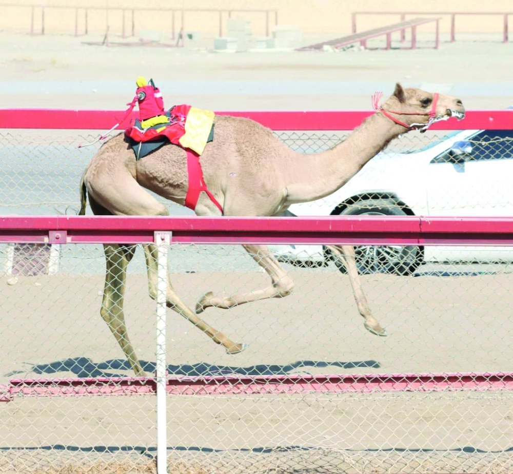 Al Shahiniyah won round 28 owned by Ali bin Abdullah al Balushi.