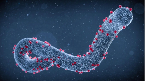 Ethiopia confirms outbreak of Marbug virus