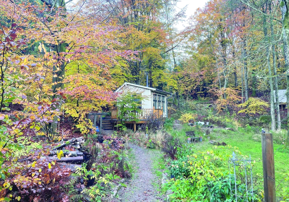 The so-called 'silent cabin' in Hoor, Sweden. The Visit Skane tourism office sponsors the project, where two people can stay three nights in the cabin for free as long as they stay quiet. 
- AFP 
