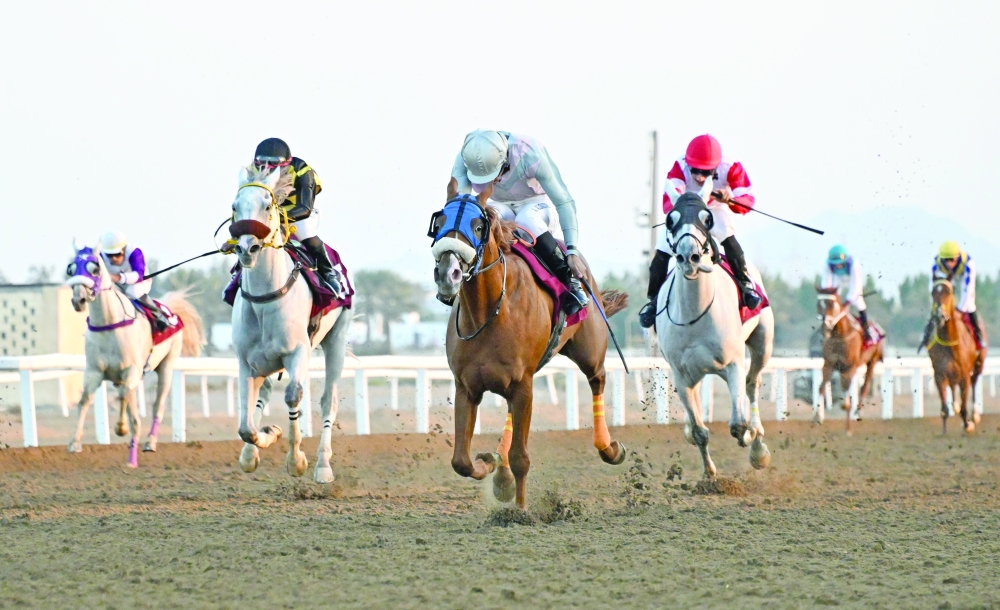 The event attracted a strong field of purebred Arabian and Thoroughbred horses, alongside an enthusiastic crowd that enjoyed a vibrant racing atmosphere.