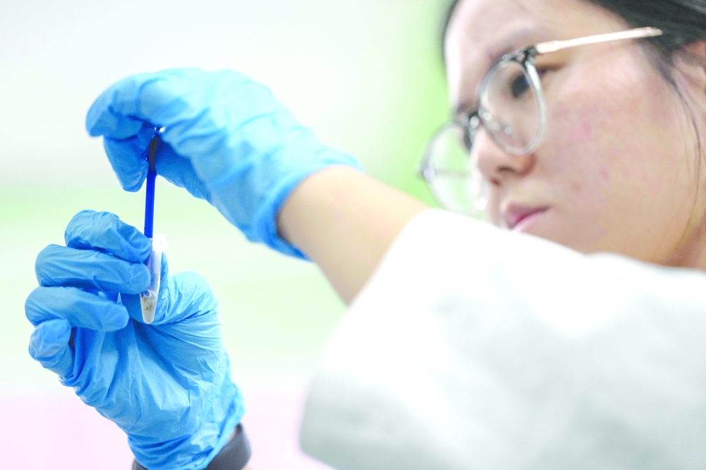 Postdoctoral researcher Lim Li crushing a bed bug into a sample at a laboratory of the Science University of Malaysia in George Town on Penang island. — AFP