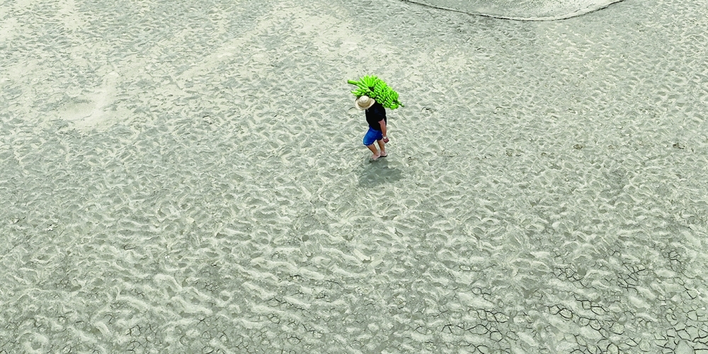 Already, up to 40 per cent of our planet’s lands are degraded and deteriorating.