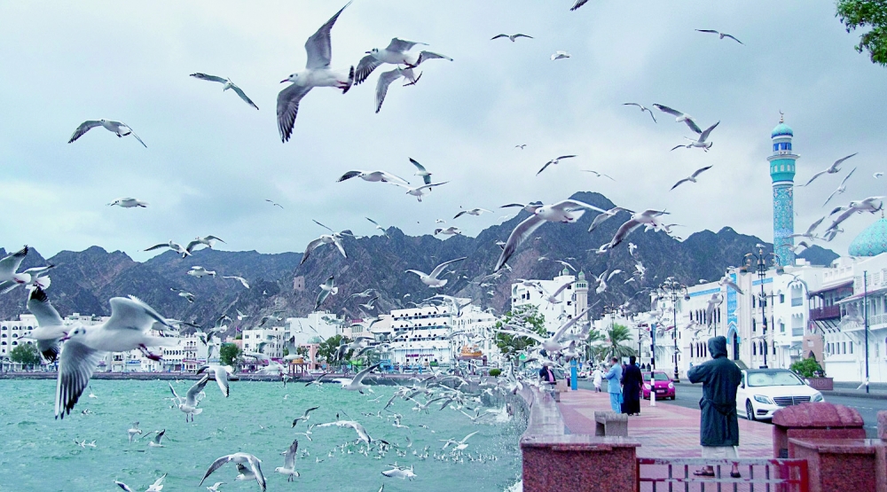 Migratory gulls, the winter visitors, are known to migrate from Mongolia, North Russia, Siberia, and the Caspian region.