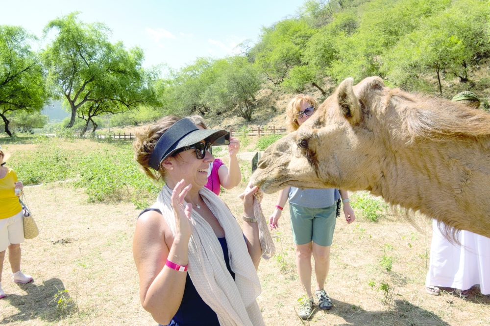 Czech tourists play with the camel