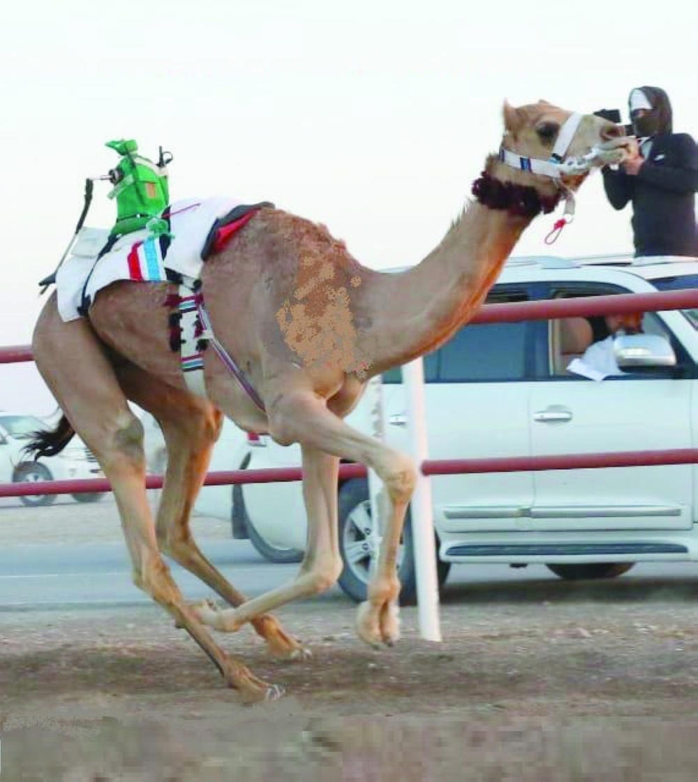 Qanad, owned by Ibrahim bin Abdullah al Junaibi, won the second round.