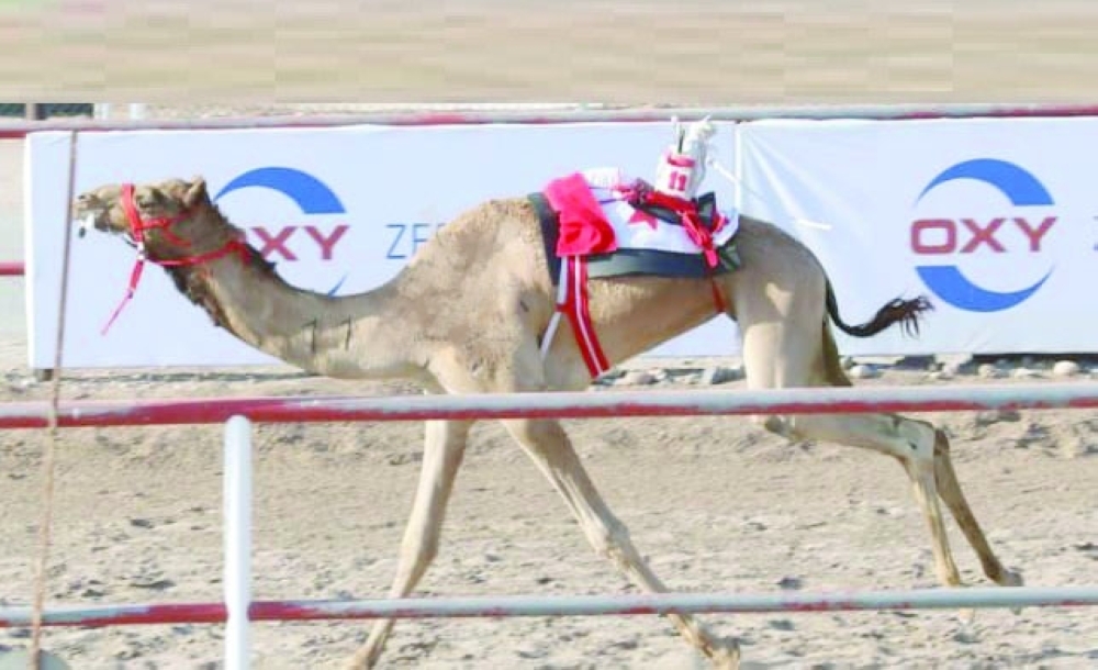 In Round 12, Mundhir, owned by Yousuf bin Saud al Darai, came first.