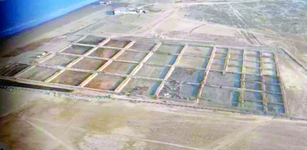 Shinas shrimp farm nears completion