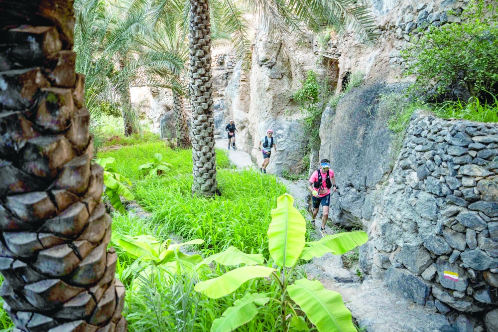 In the 60 km category, elite contenders include Vlad Ixel (Australia) as well as Navil Shaimukhametov (Russia).