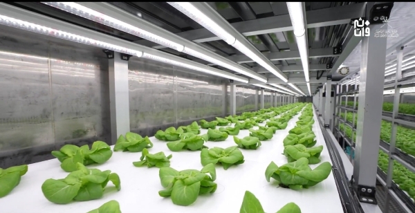 Advanced plant-factory technology launched in Oman