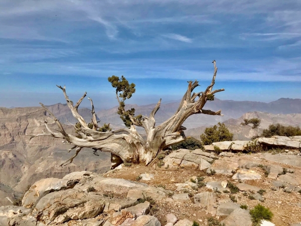 Why Oman feels like home - every time