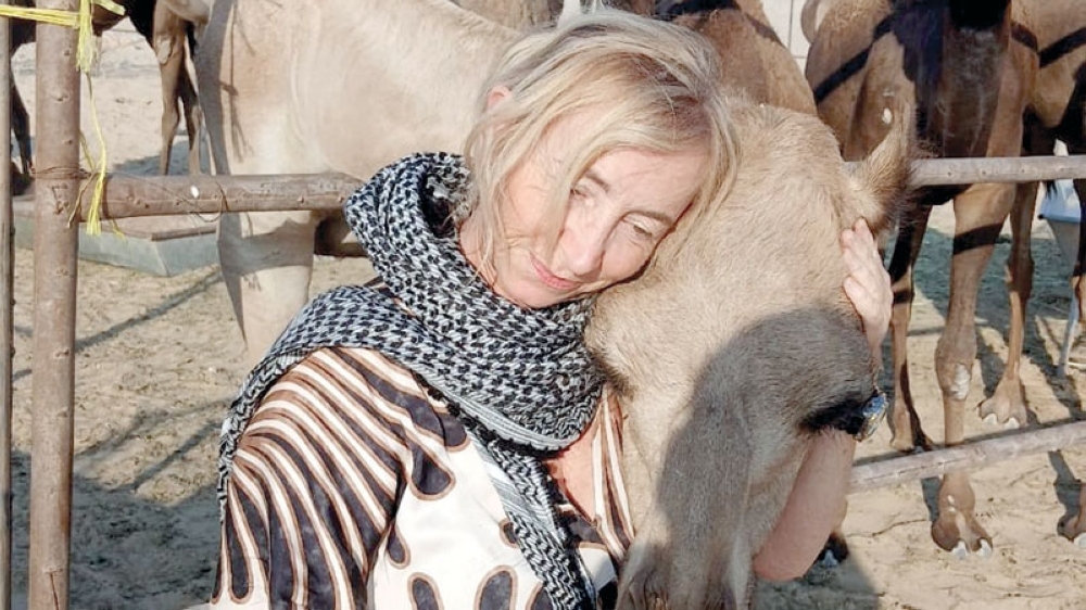 Sabine Cunningham-Blinn adores a camel at a camel shed in Salalah