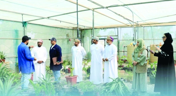 Al Batinah North plants 100,000 seedlings to green the governorate