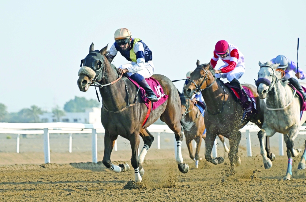 The event comprised eight races, including five for purebred Arabian horses, two for thoroughbreds and one for locally bred Arabian horses. — Mohammed al Balushi
