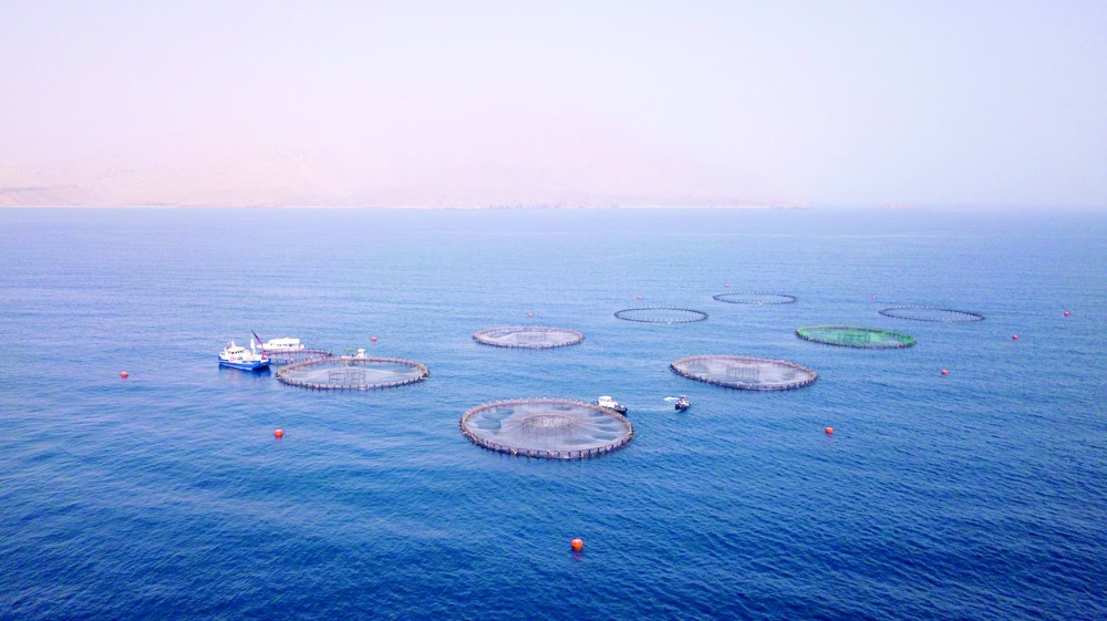 The initiative is designed to position Oman as a regional hub for advanced fisheries and fishing industries.