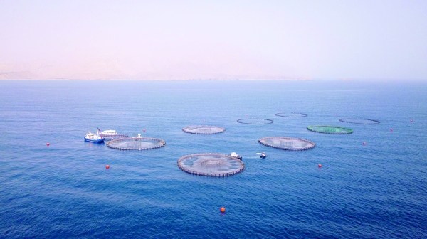 Oman unveils sea-to-shelf investment initiative