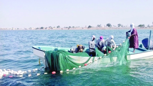 Protecting fish stocks a national priority as Oman steps up sustainable fishing measures